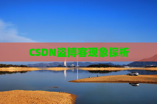 CSDN盗博客现象探析